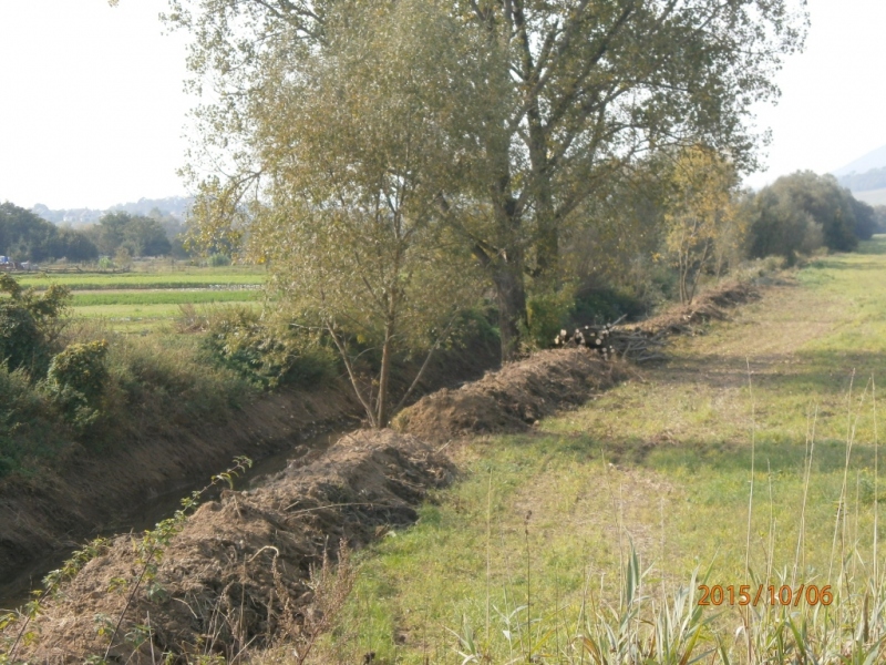 Čistenie potoka Ladianka