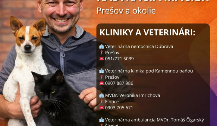 Fotka - Bezplatná kastrácia mačiek Prešov a okolie